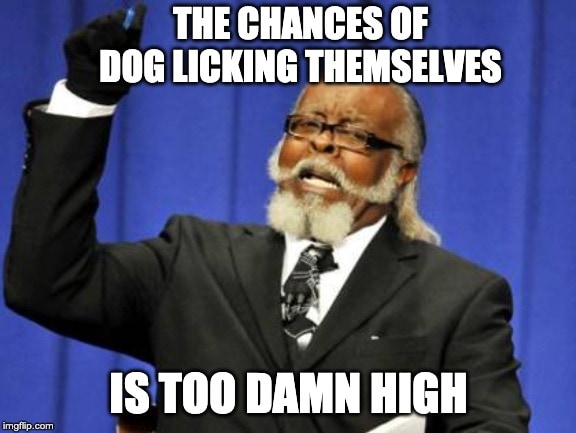 Dog Lick Themselves Too Damn High Meme | Travel With Doggie