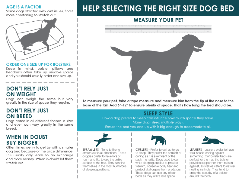 Dog Bed Size Guide | Travel With Doggie